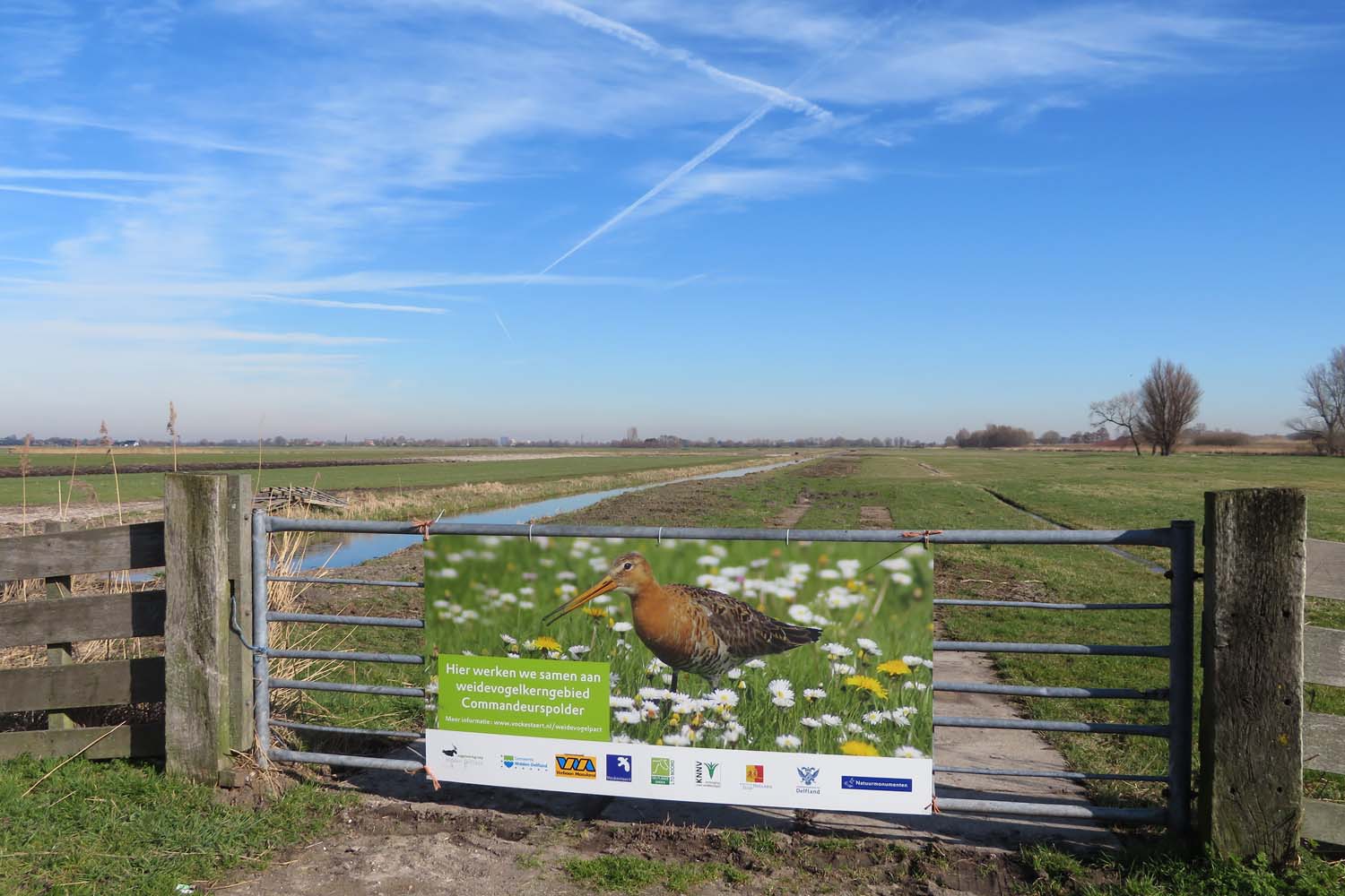 Weidevogelstand Midden-Delfland op peil - 27 november 2019