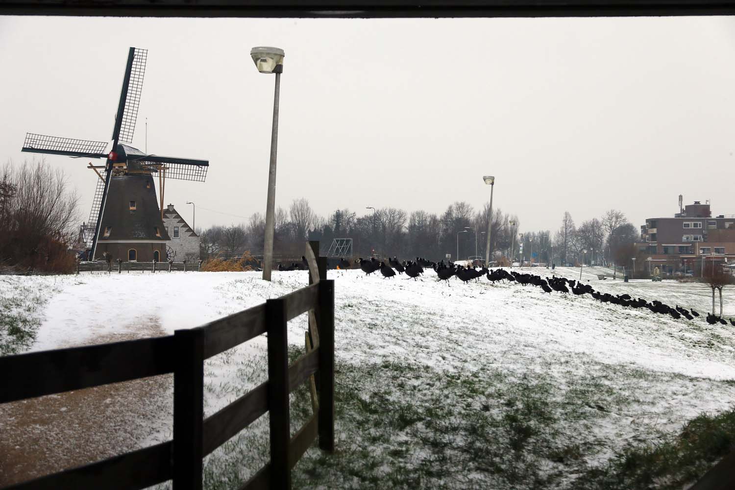 Sneeuwlandschap Schipluiden 22 en 23 januari 2019.